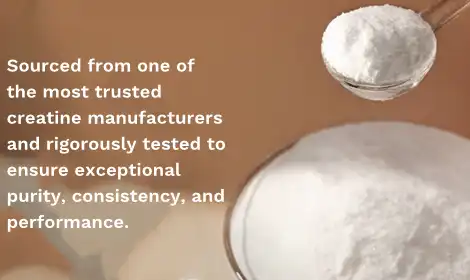 Creatine Monohydrate Powder: A Reliable Ingredient for Nutrition and Healthcare